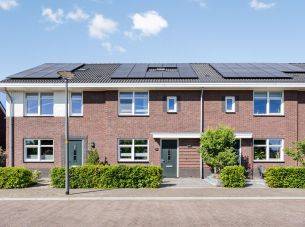 Honingbes 42, Borne