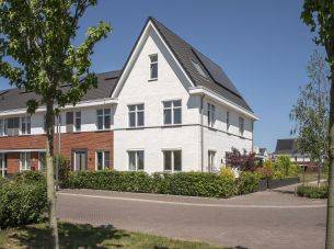 Honingbes 2, Borne