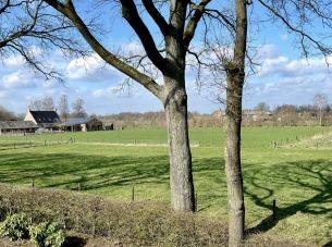 De Grave - kavel 61 0ong, Haarle